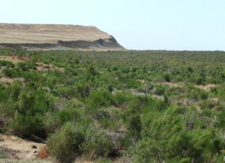 Winterkalte Wüsten von Turan als UNESCO-Welterbestätte nominiert