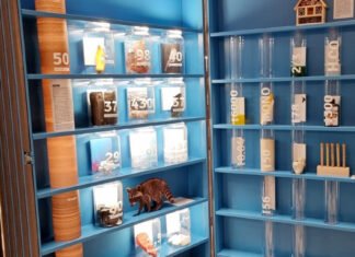 Wissenswertes und Wissenschaftliches für junge Deutschlerner