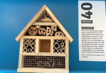 „Universum. Mensch. Intelligenz.“ als Seminar