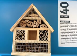 „Universum. Mensch. Intelligenz.“ als Seminar