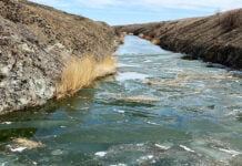 „Ohne Wasser kein Leben“