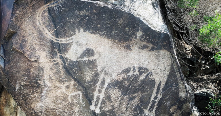 Die Petroglyphen von Tanbaly