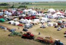 Feldtag „Jańa Dala“ in der Region Akmola mit deutscher Beteiligung