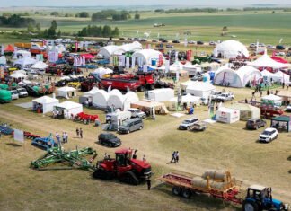 Feldtag „Jańa Dala“ in der Region Akmola mit deutscher Beteiligung