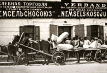 Ausländische Hilfe für die Notleidenden und Gründung der ASSR der Wolgadeutschen 1930er Jahre.