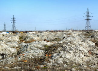 Umweltschutz in Gesellschaft und Medien