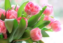 Zum Internationalen Frauentag