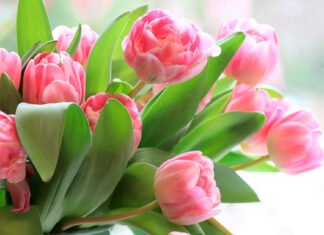 Zum Internationalen Frauentag