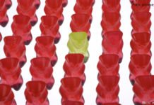 Anders als die Anderen Anders als die Anderen