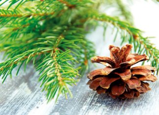 2019 steht vor der Tür! 2019 steht vor der Tür!