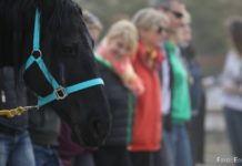 Die Kunst der Führung