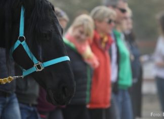 Die Kunst der Führung