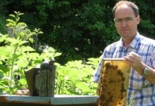 Integration mal anders: Bienenzucht hilft bei der Eingliederung