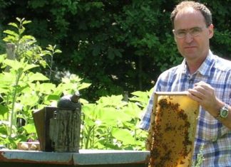 Integration mal anders: Bienenzucht hilft bei der Eingliederung