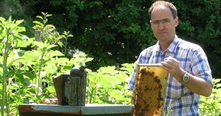 Integration mal anders: Bienenzucht hilft bei der Eingliederung