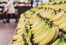 Auf der Suche nach Dollars und Bananen bananas