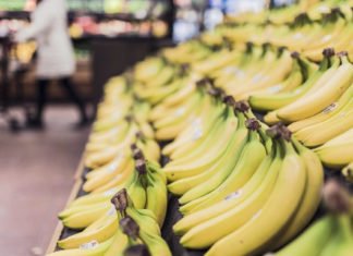 Auf der Suche nach Dollars und Bananen bananas