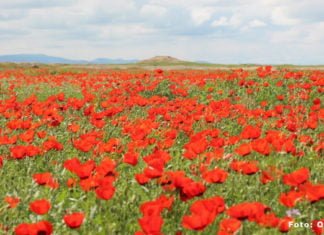 Turkmenistan: Im Land der Numerologie Turkmenistan