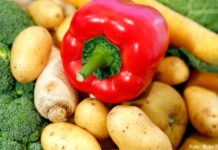 Gesunde Ernährung in Kasachstan