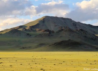 Humboldt in Kasachstan