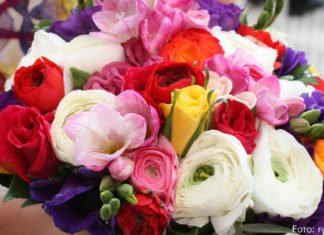 Glückwunsch zum 8. März!