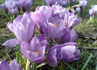 Gefeiert wird trotzdem!