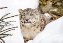 Die Konsequenzen aus Corona