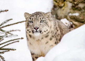 Die Konsequenzen aus Corona