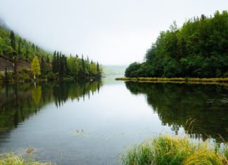 Wie Corona auf das natürliche Gleichgewicht in Kasachstan wirkt