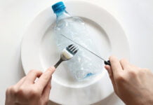 Mikroplastik: Eine unsichtbare Katastrophe