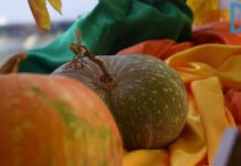 Traditionen zum Erntedankfest