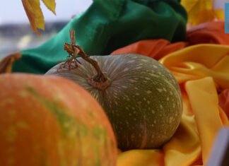 Traditionen zum Erntedankfest