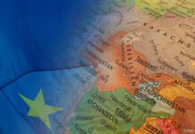 Zentralasien und EU im Online-Dialog