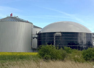 Die Lage des kasachischen Biogas-Energiebereiches