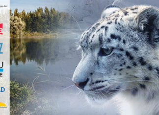 Kreativ für einen besseren Planeten