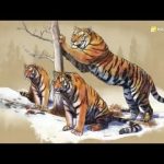 Video thumbnail for youtube video -yby88kj04e