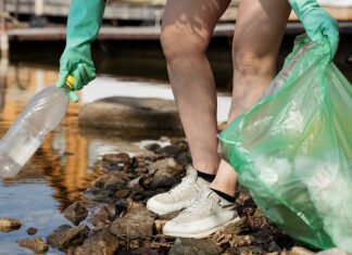 Taza(r) heißt sauber