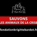 Video thumbnail for youtube video ayqn6oedqwo