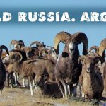 Video thumbnail for youtube video f18ppcugpmi