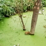 03_Jana_Iwtschenko_02