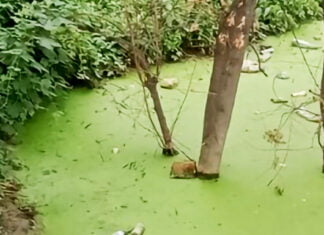 Die Umweltkompetenz als eine Glaubenssache Die weit verbreitete Nachlässigkeit gegenüber der Natur zeigt sich nicht nur in Gesprächen, sondern auch in Handlungen: Der wunderbare Sumpfkomplex in Ainabulak, in dessen Nähe ich zwei meiner Befragten getroffen habe, enthält bald mehr Müll als Wasser.