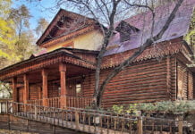 Eduard Baum und sein verwunschenes Wäldchen