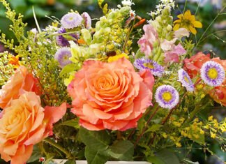 Ein schöner Tag, um unseren Lehrern zu danken