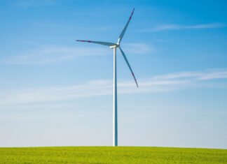 Tag der Deutschen Wirtschaft: Klimaneutralität im Fokus