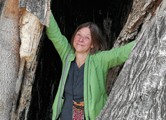 „Verantwortung ist das beste Rezept gegen Entfremdung“