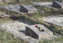 „Unser Gedächtnis braucht Stützen der Erinnerung“