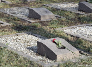 „Unser Gedächtnis braucht Stützen der Erinnerung“