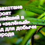 Video thumbnail for youtube video ios-rpwlvxo