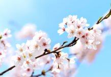 Kasachstan feiert Tag der Dankbarkeit