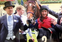 Willi Gidt: „Unsere Pferde wurden Zweite, hinter dem Team des Emirs von Dubai“